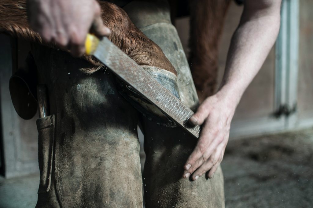 Farrier at work