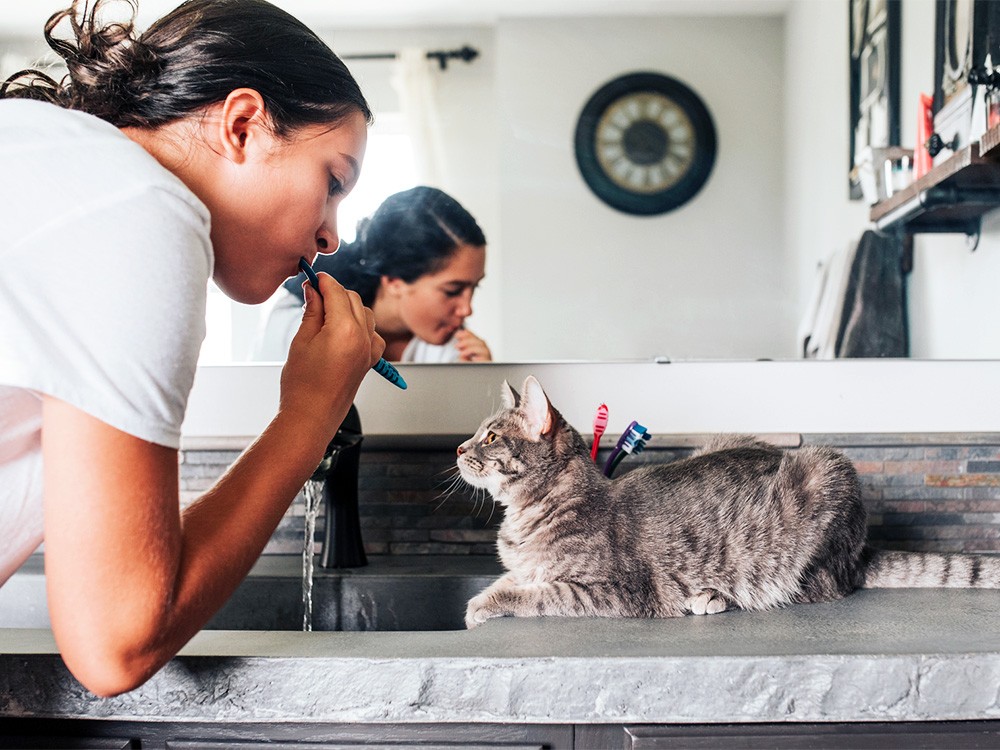 A curious cat watching a girl brush her teeth, symbolizing feline bathroom fascination.