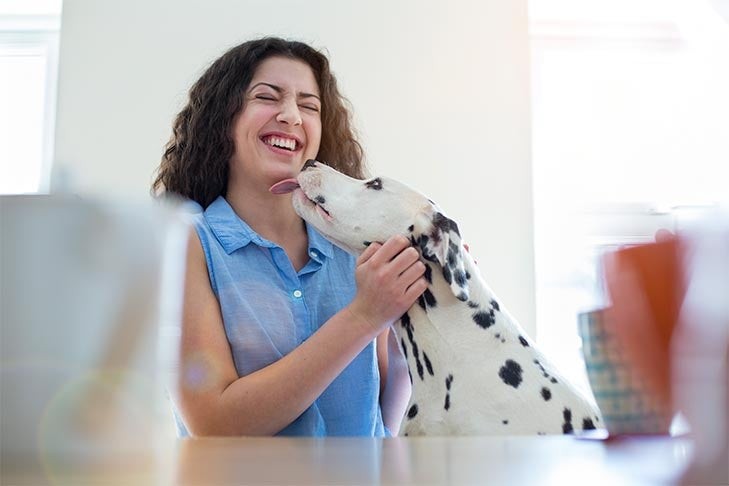 A Dalmatian dog affectionately licks a smiling woman's face, illustrating a common sign of canine affection and bonding between a dog and its owner.