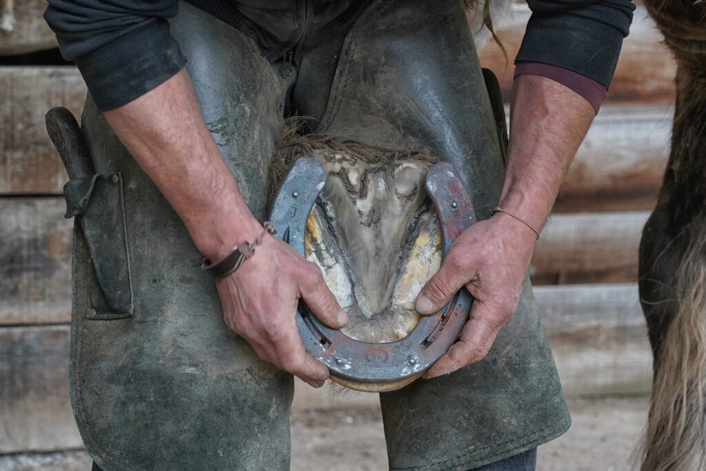 A farrier applying a horseshoe to a horse's hoof