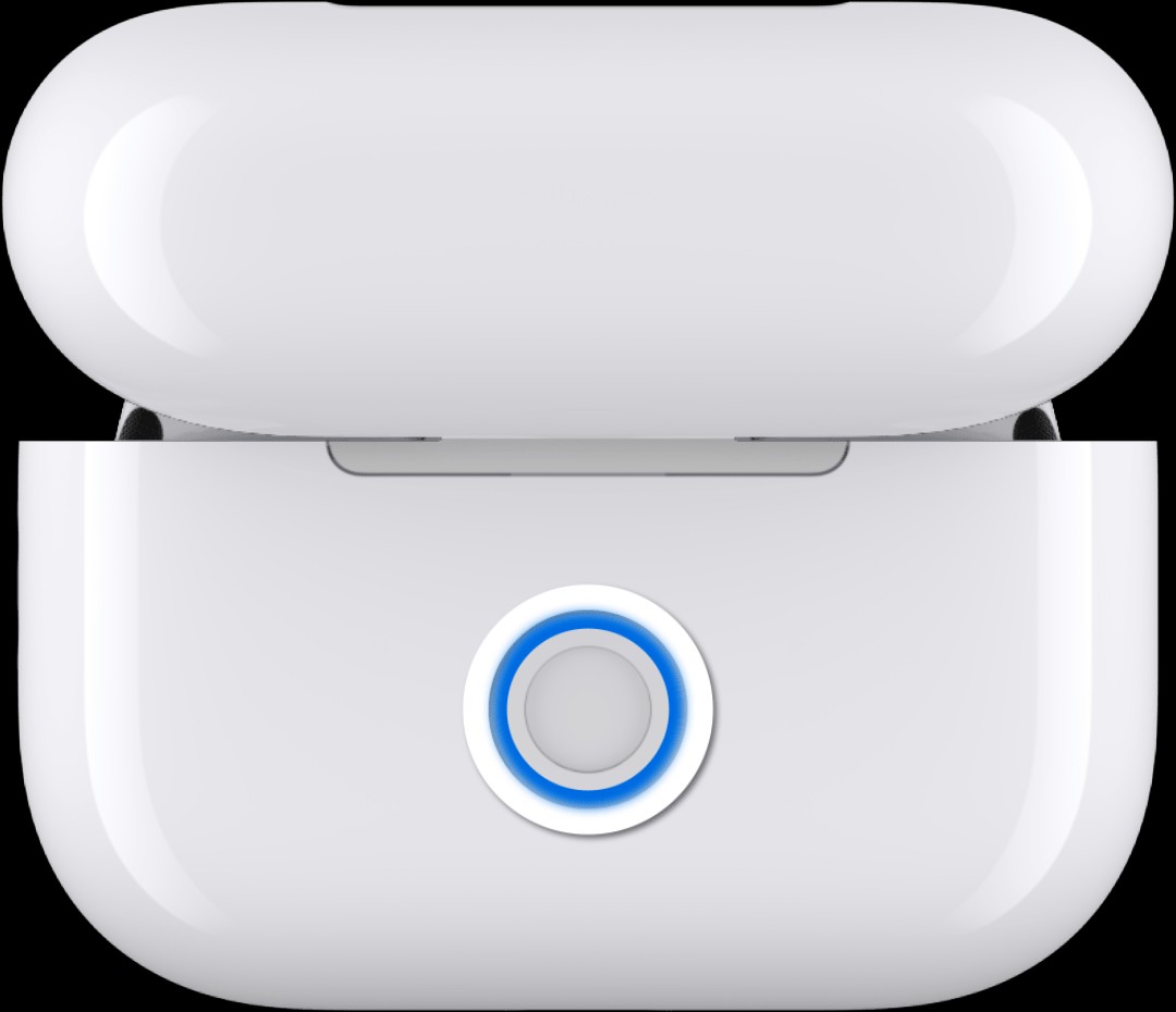 AirPods Pro in their case with the lid open and the back button held down.