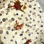 bathroom floor covered in dog poop with blood