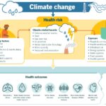 Climate change risk pathways infographic