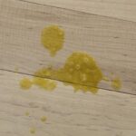 close-up shot of yellow bile dog vomit