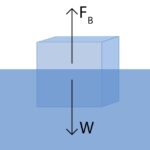 Diagram illustrating buoyant force and weight forces acting on an ice cube floating in water, demonstrating Archimedes' principle.