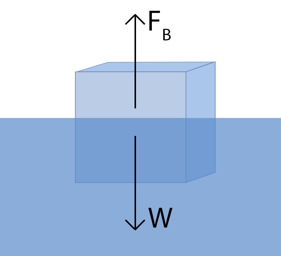 Diagram illustrating buoyant force and weight forces acting on an ice cube floating in water, demonstrating Archimedes' principle.