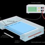 DNA electrophoresis equipment setup