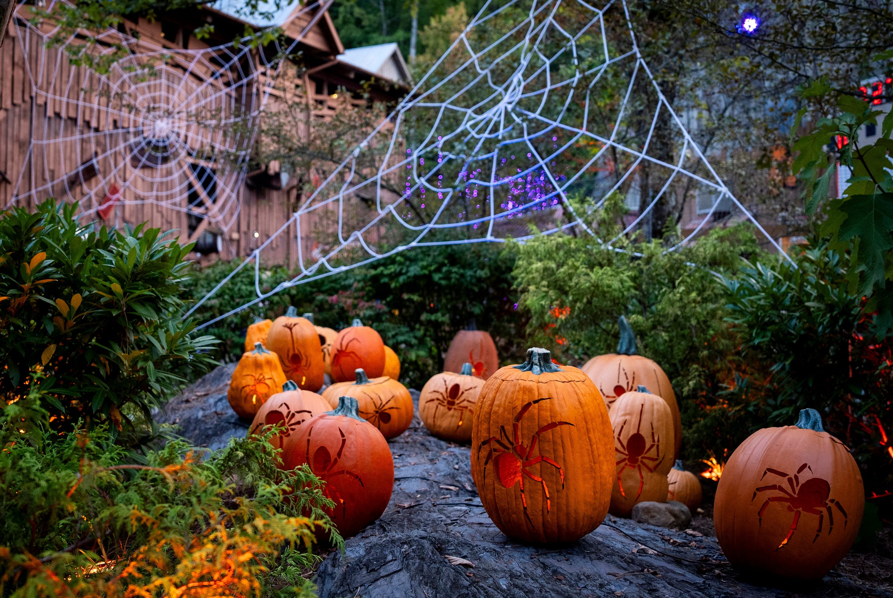 Dollywood's Great Pumpkin LumiNights event for fall 2024