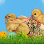 easter chicks