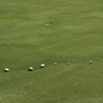 fairy-ring-bermudagrass-signs-mushrooms_NCSU