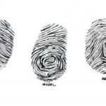 Fingerprints