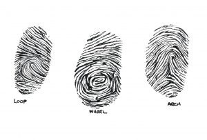 Fingerprints