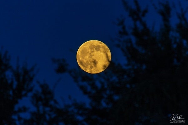 Full Moon in July 2016.