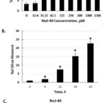 Graphical abstract of the research study on Red Dye 40 and its effects on colorectal cancer.