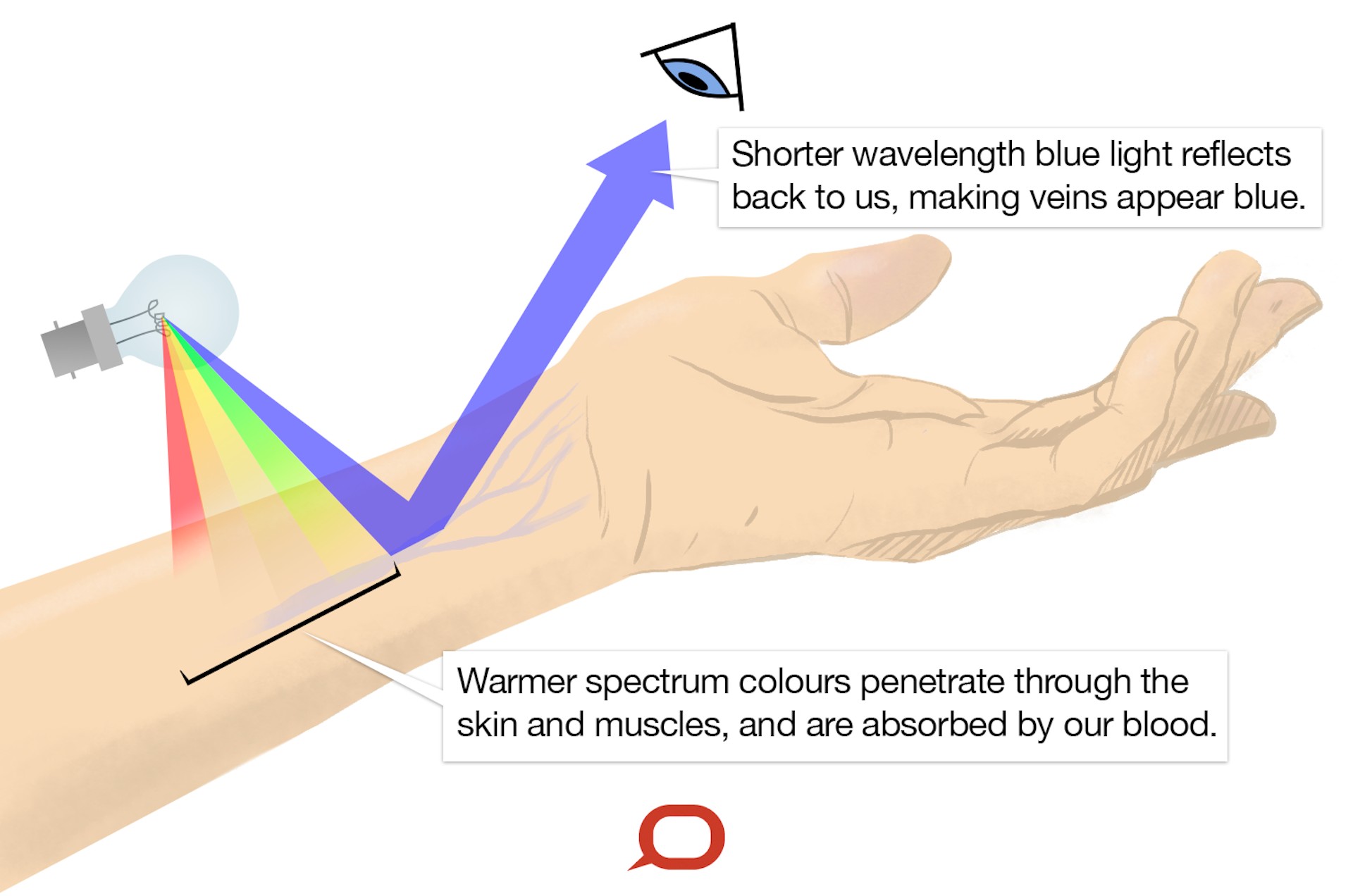 Illustration showing red light being absorbed by veins under the skin