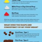 Infographic explaining what different poop colors and consistencies can indicate about your health. Learn about the meaning of brown, green, black, yellow, pale, and red stool, as well as hard, firm, cracked, healthy, soft, mushy, and liquid poop types.