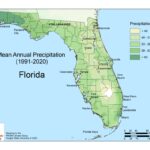 Map of florida showing average annual precipitation from 1991-2020, with color gradients representing different precipitation levels in inches.