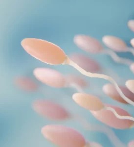 Microscopic view of stained semen sample, used in laboratory analysis to assess sperm health and semen quality.