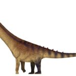 Patagotitan titanosaur dinosaur, approximately 37.5 meters long and estimated 57 tonnes in weight, dwarfing a human figure.