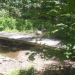 Peaceful stream at Mt. Aetna Seventh-day Adventist summer camp, a cherished childhood memory for an ex-SDA member.