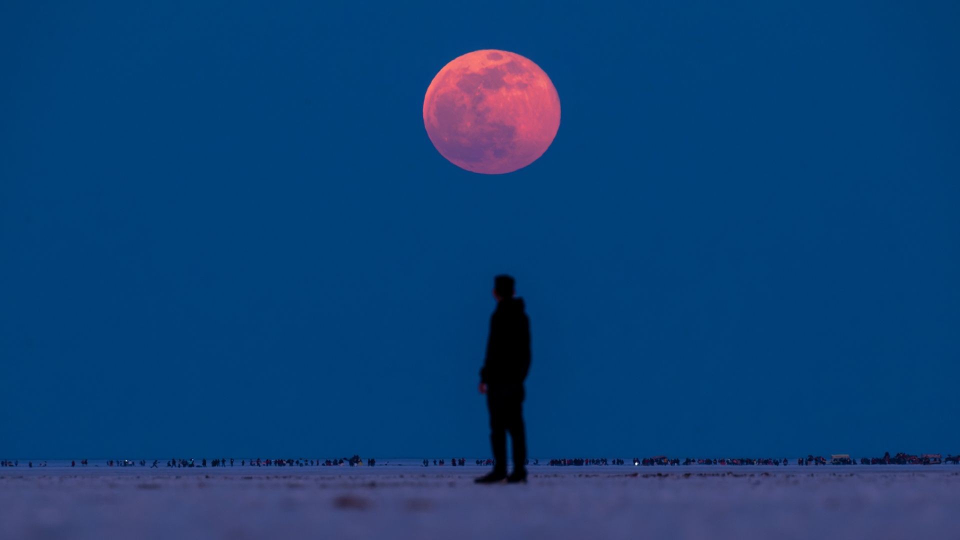 Person standing looking at the blood moon above during a total lunar eclipse