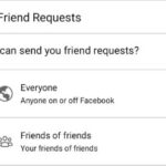 Privacy settings restricting friend requests, showing "Friends of Friends" option highlighted, indicating a possible reason for the missing "Add Friend" button.