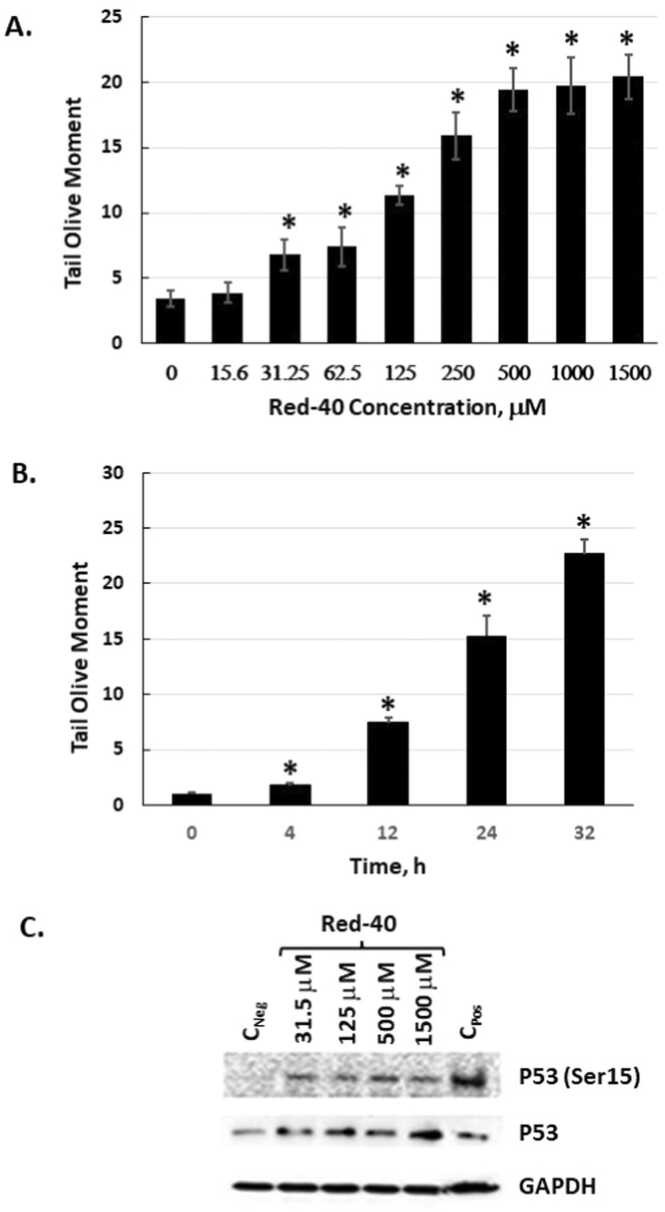 Red 40 induces DNA damage in vitro