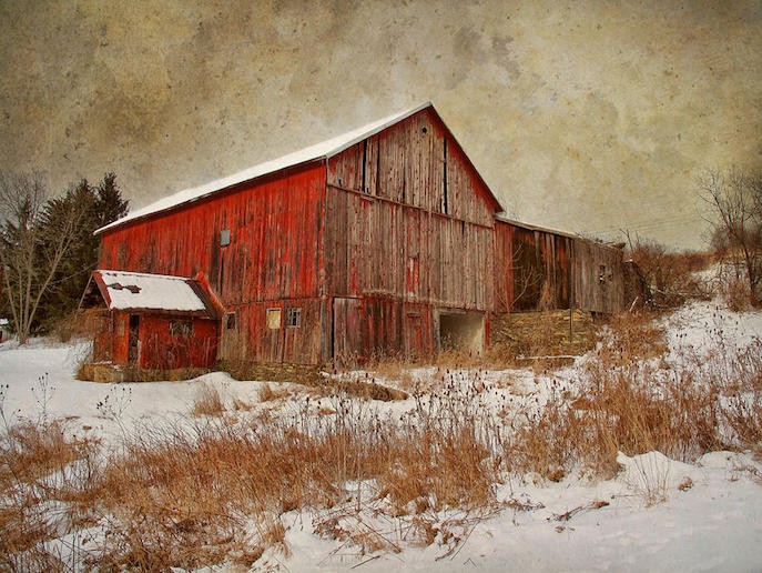 Red barn in a snowy landscape, showcasing its vibrant color against the white snow