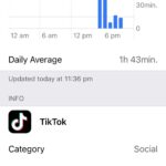 Screen Time report showing TikTok usage exceeding limit despite restriction