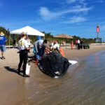 Short-finned pilot whales beached on Redington Beach, Florida