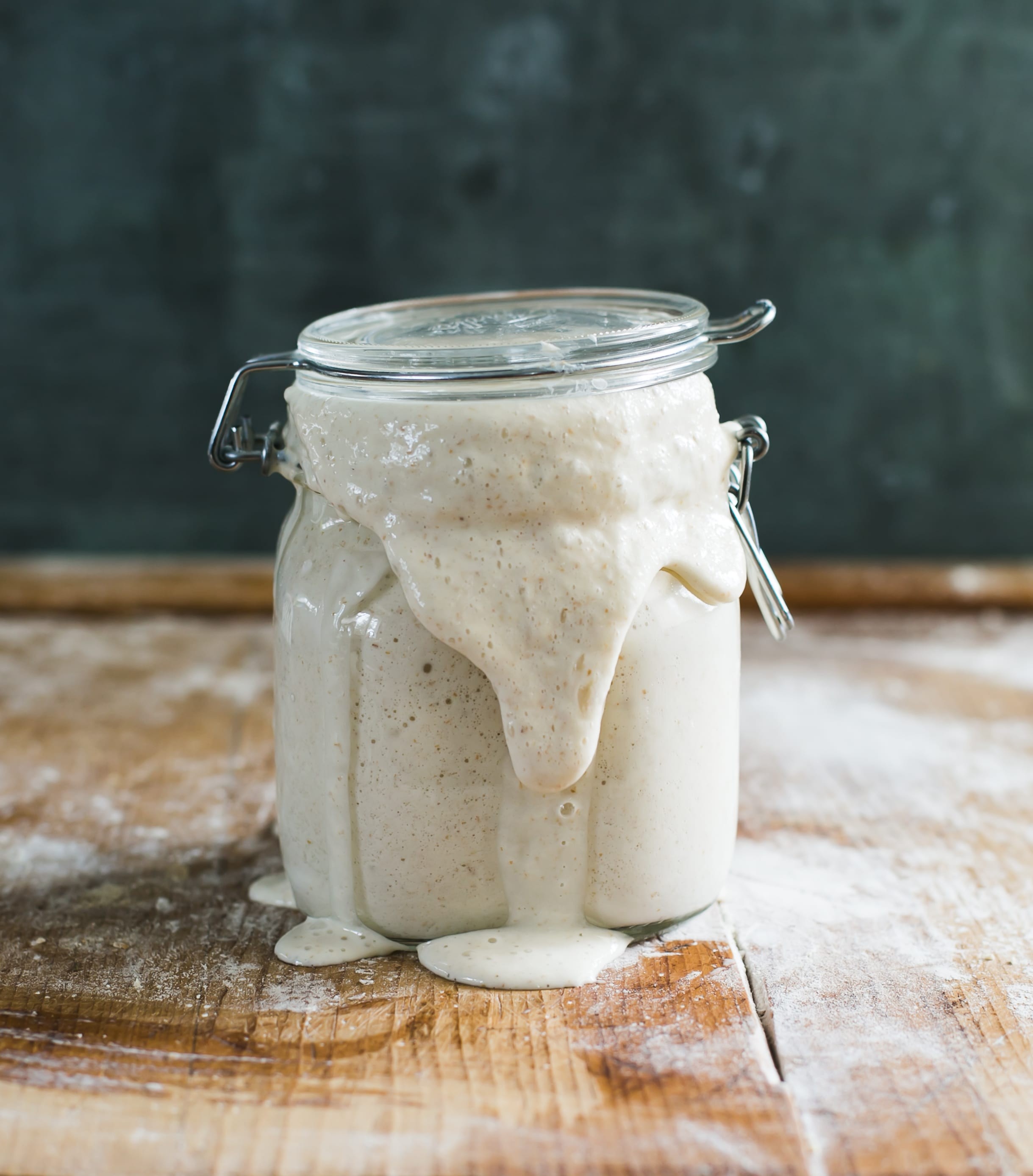 Troubleshooting Your Sourdough Starter