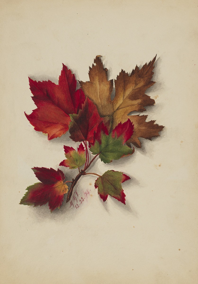 Watercolor painting of autumn leaves in red, green, and yellow hues