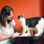 Woman petting cat on her desk at home.