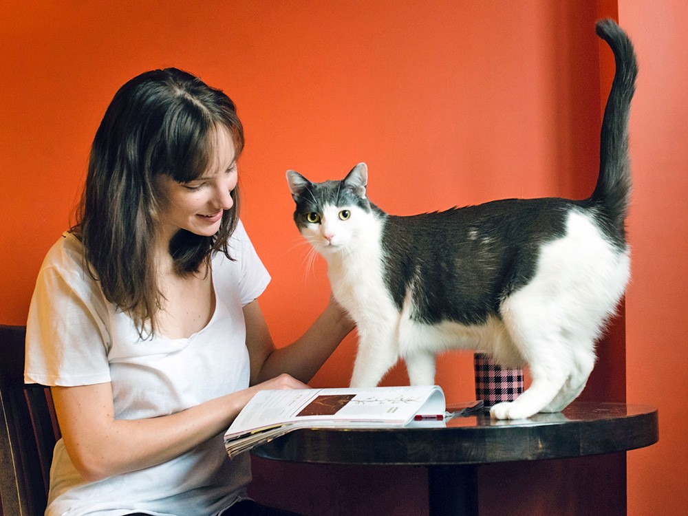 Woman petting cat on her desk at home.