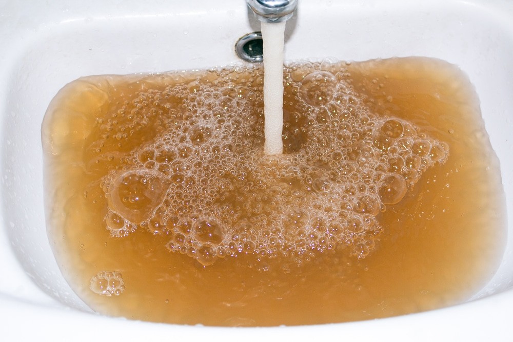 mosquitoes breeding in stagnant water