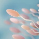 Microscopic view of sperm cells