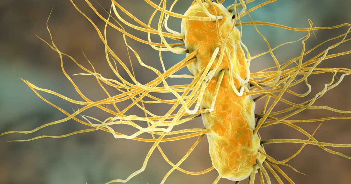 Lanolin cream can soothe and protect nipples, providing relief from discomfort associated with vasospasm