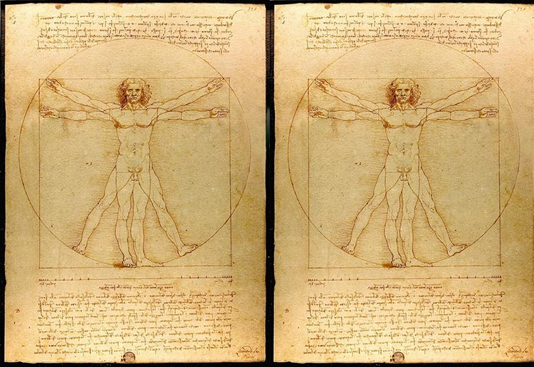 Da Vinci's Vitruvian Man, illustrating classical proportions