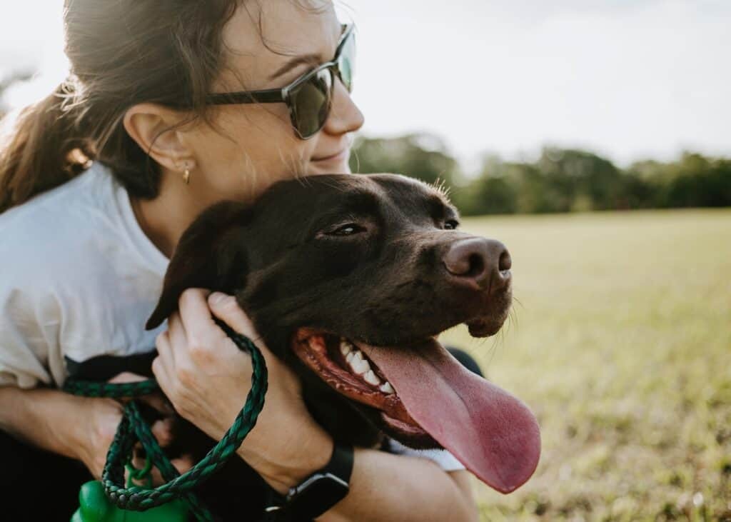 Dog owner hugging her chocolate lab who is panting with its tongue out