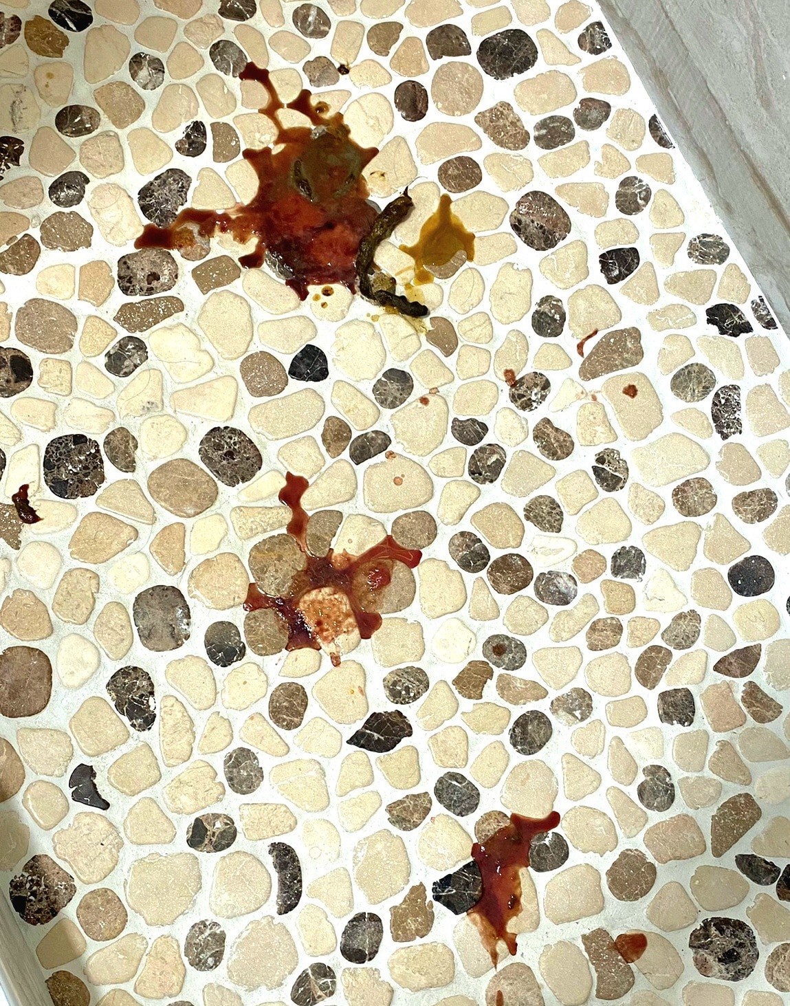 Dog stool with blood