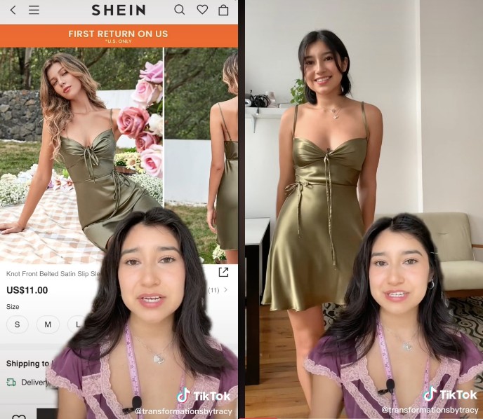 Shein Plagiarism Examples
