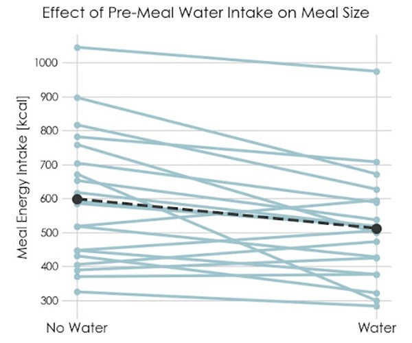 Water vs Meal Intake