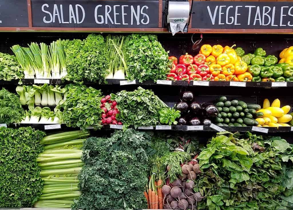 Sulphur-rich Foods